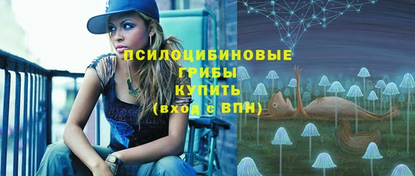бутират Богданович